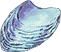 輝くウロコ