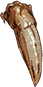 竜の牙