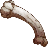 Big Bone