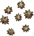 Bitter Tree Seed