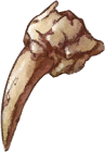 Hard Claw