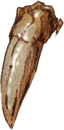 Dragon Fang