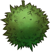 Spiky Bud