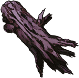 Ancient Root