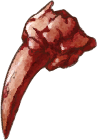 Ruler's Claw