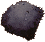Wild Pelt