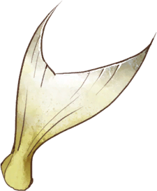 Island Fish Fin