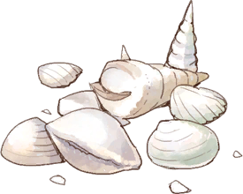 Pelem Shell