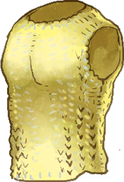 Gold Chain Armor