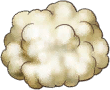 Wool