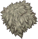 Animal Hide