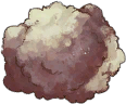 Rabbit Fur