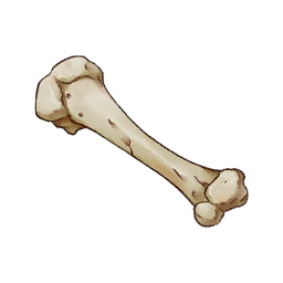 Large Bone
