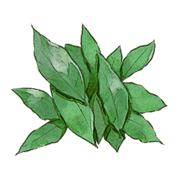 Sweet Leaf
