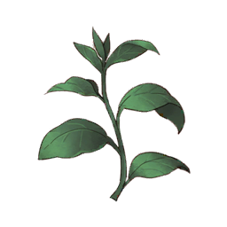 Forest Sage