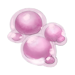 Pink Puniball